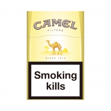 CAMEL FILTER  (CASE 20)