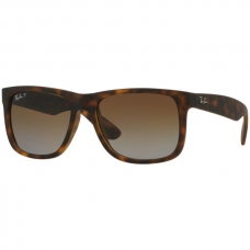 Ray Ban RB4165 Lense Colour Polar Brown