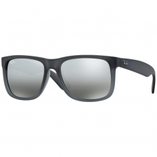 Ray Ban RB4165 Lense Colour Polar Grey