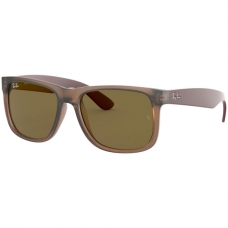 Ray Ban RB4165 Lense Colour Light Brown