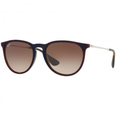 Ray Ban RB4171 Lense Colour Polar Brown