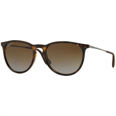 Ray Ban RB4171 Lense Colour Brown Gradient