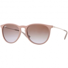 Ray Ban RB4171 Lense Colour Rubber Brown