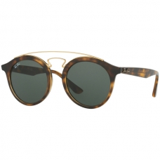 Ray Ban RB4256 Lense Colour Dark Green