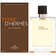Hermes Terre D'Hermes Edt Spray Men 100Ml